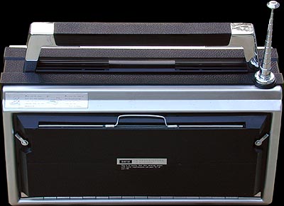 [Globepacer back view]