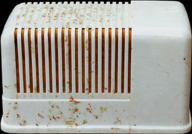 [Silvertone 7008 back view]